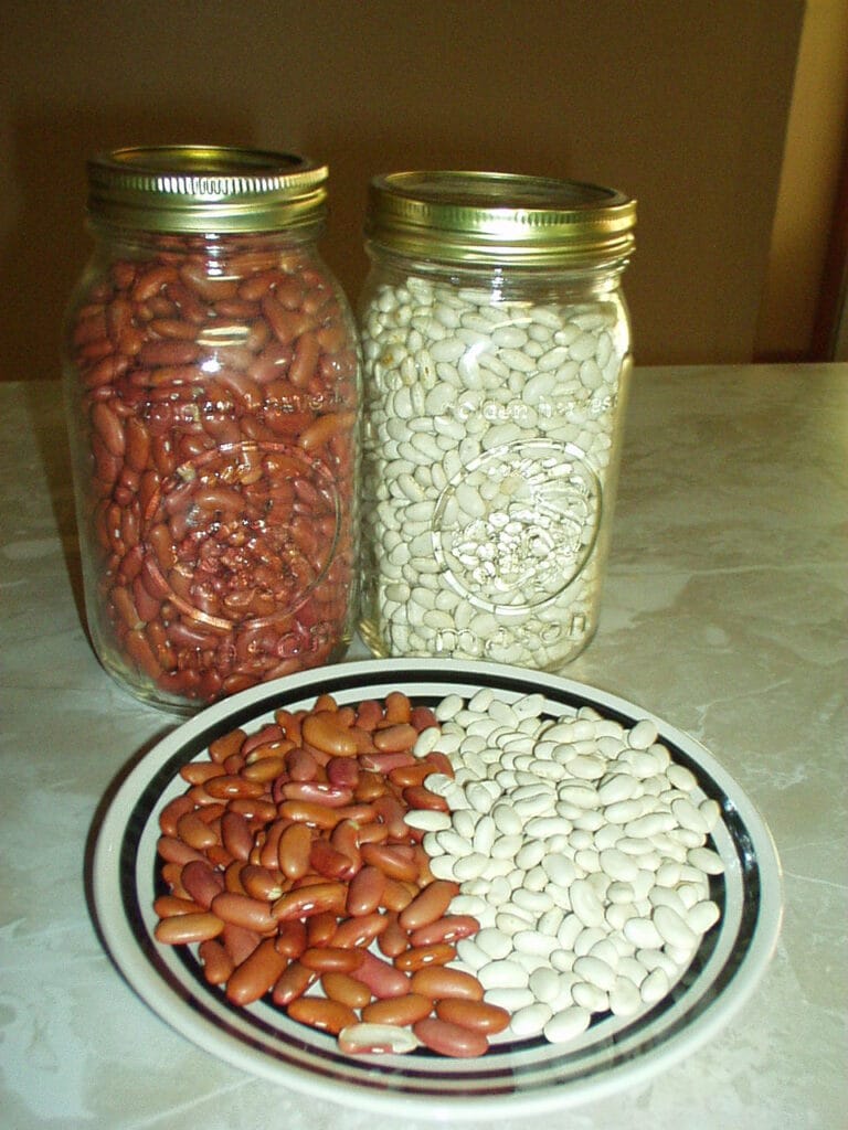 Northern White Beans vs White Beans: The Key Differences